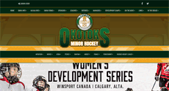Desktop Screenshot of okotokshockey.com